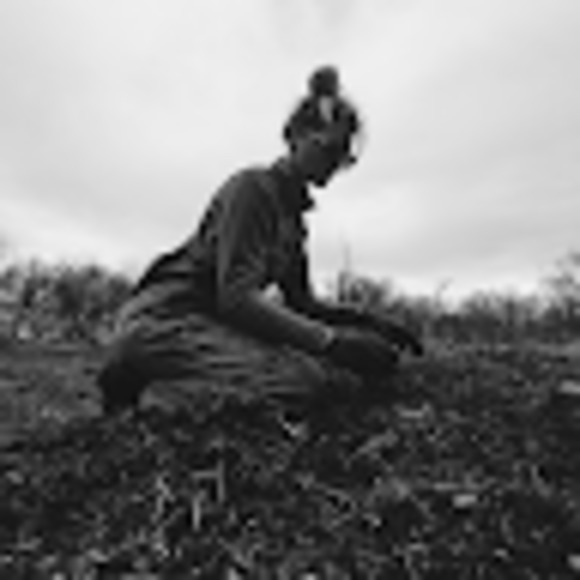 Meet your Posher, Cheyenne - Picture 1 of 1